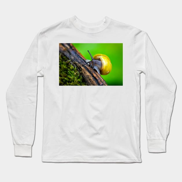 Out for a walk Long Sleeve T-Shirt by Violaman